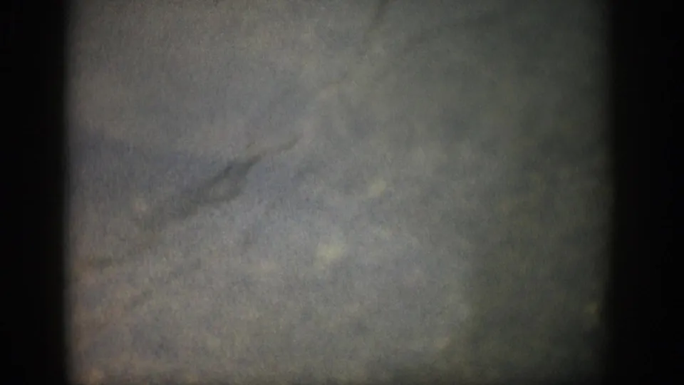 1959 Colorado 8mm frame showing a large fish shape under cloudy shallow water, with grain, faded color, and soft focus.