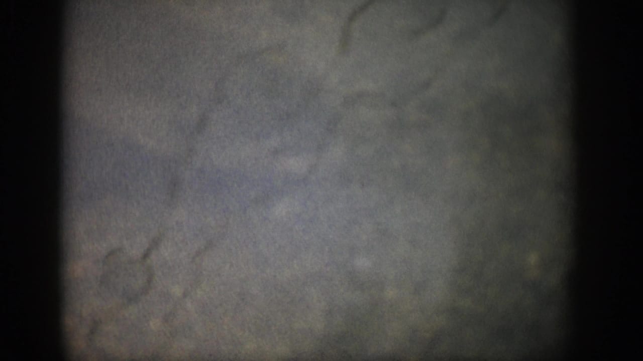 1959 Colorado 8mm frame showing a soft, murky underwater view with dark borders, grain, and faint indistinct aquatic shapes.