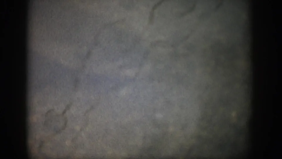 1959 Colorado 8mm frame showing a soft, murky underwater view with dark borders, grain, and faint indistinct aquatic shapes.