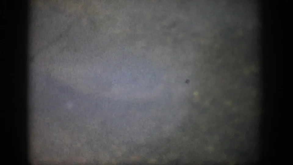1959 Colorado home-movie frame with cloudy underwater tones, heavy grain, and faint shapes that may suggest fish or aquatic life.