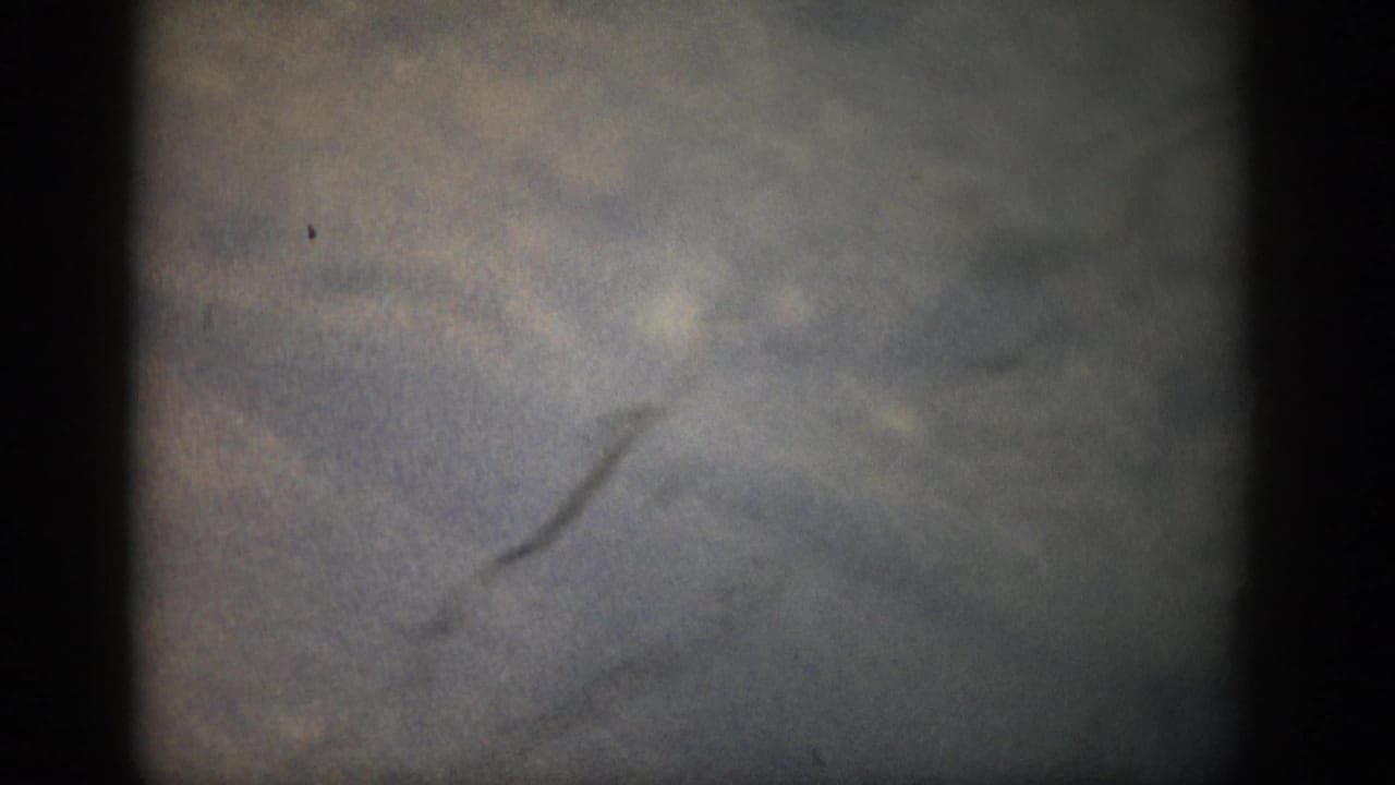 Dark grainy frame with faint curved marks and black film borders.
