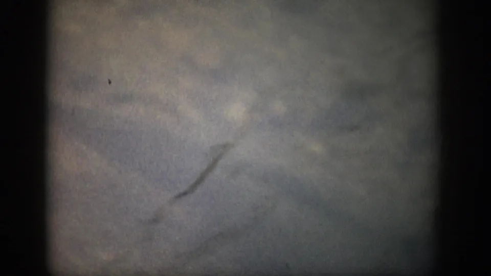 Soft, underexposed 8mm frame with faint surface marks and borders, preceding the visible fish-in-water footage.