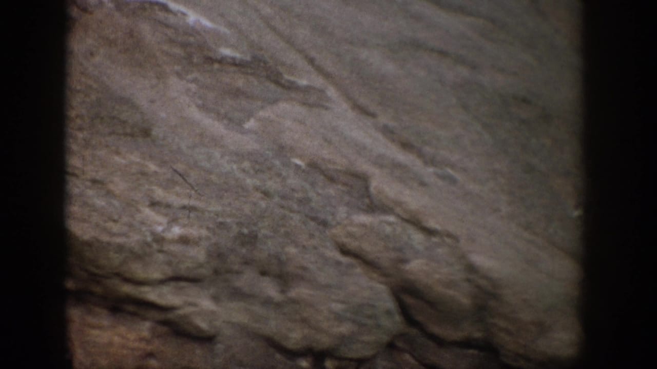 Close view of rough layered rock with dark film borders.