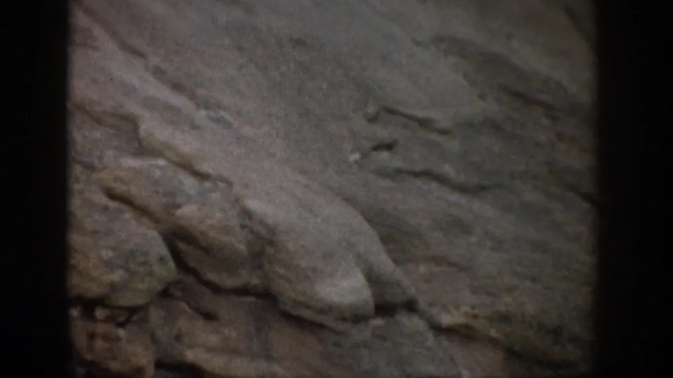 1959 Colorado 8mm frame showing a rocky hillside surface with rounded protrusions and visible film gate borders.