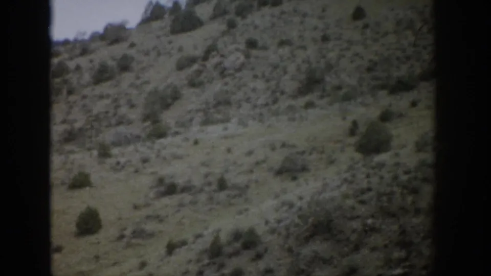 1959 Colorado landscape frame showing rolling scrubland, scattered bushes, and a distant mountain ridge in soft 8mm color.
