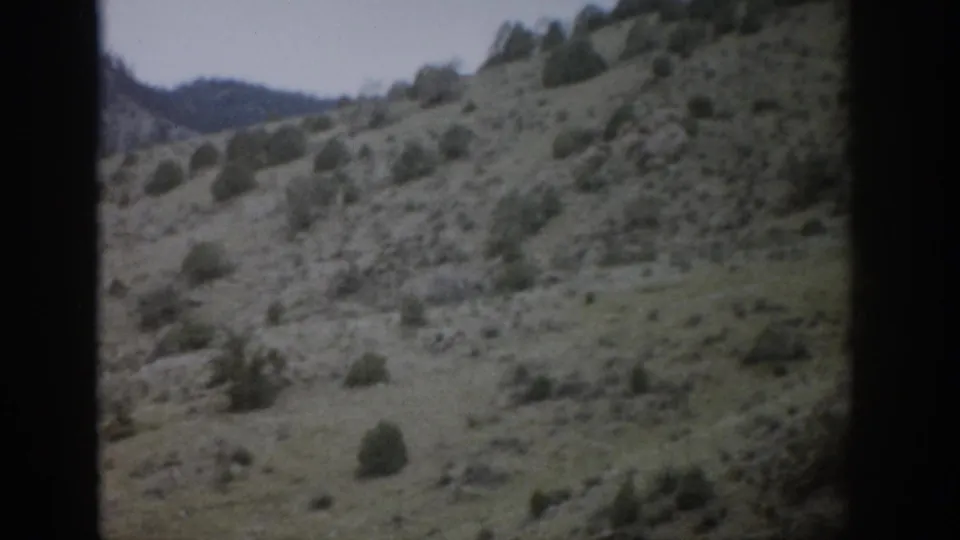 Colorado 8mm travel frame of a scrubby mountain hillside, open grass, scattered bushes, and a dark film edge.