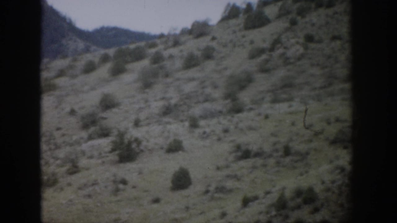 Grassy hillside with scattered shrubs and distant mountains behind dark film borders.