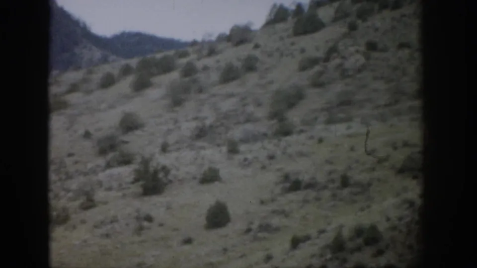 1959 Colorado 8mm frame showing a grassy mountain slope with shrubs, small evergreens, and distant ridges under muted light.