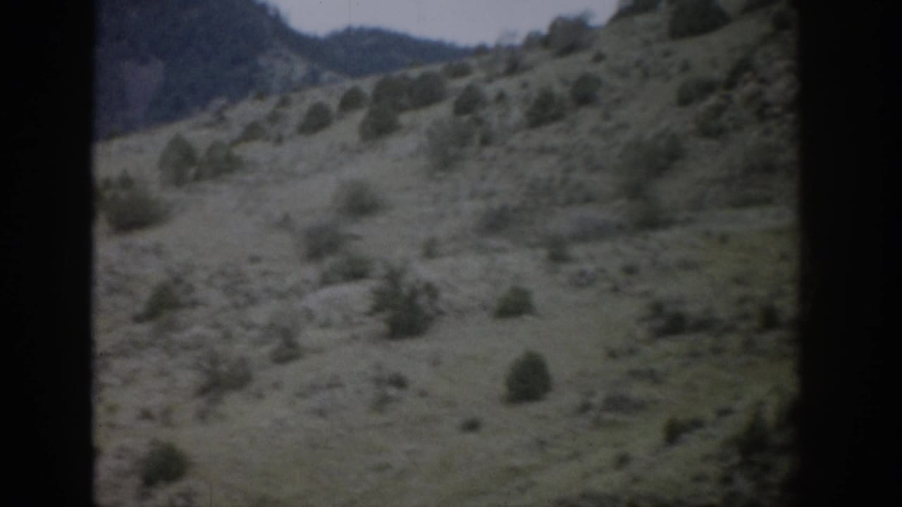 Vintage 8mm view of a Colorado hillside with dry grass, scattered brush, small evergreens, and darker mountains beyond.