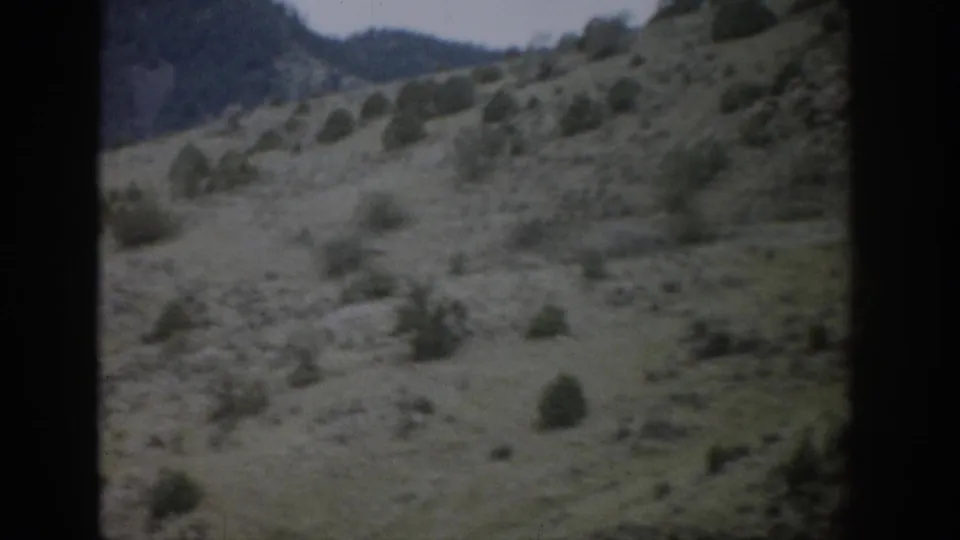 Vintage 8mm view of a Colorado hillside with dry grass, scattered brush, small evergreens, and darker mountains beyond.