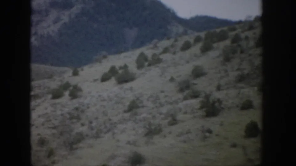 1959 Colorado home-movie frame of an open grassy slope, scattered shrubs, and a dark mountain ridge in soft focus.