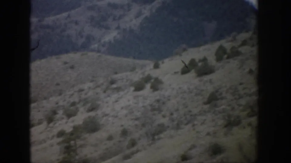Colorado 8mm landscape frame showing scrubby hillside terrain, small evergreens, and blue-gray mountains in the background.