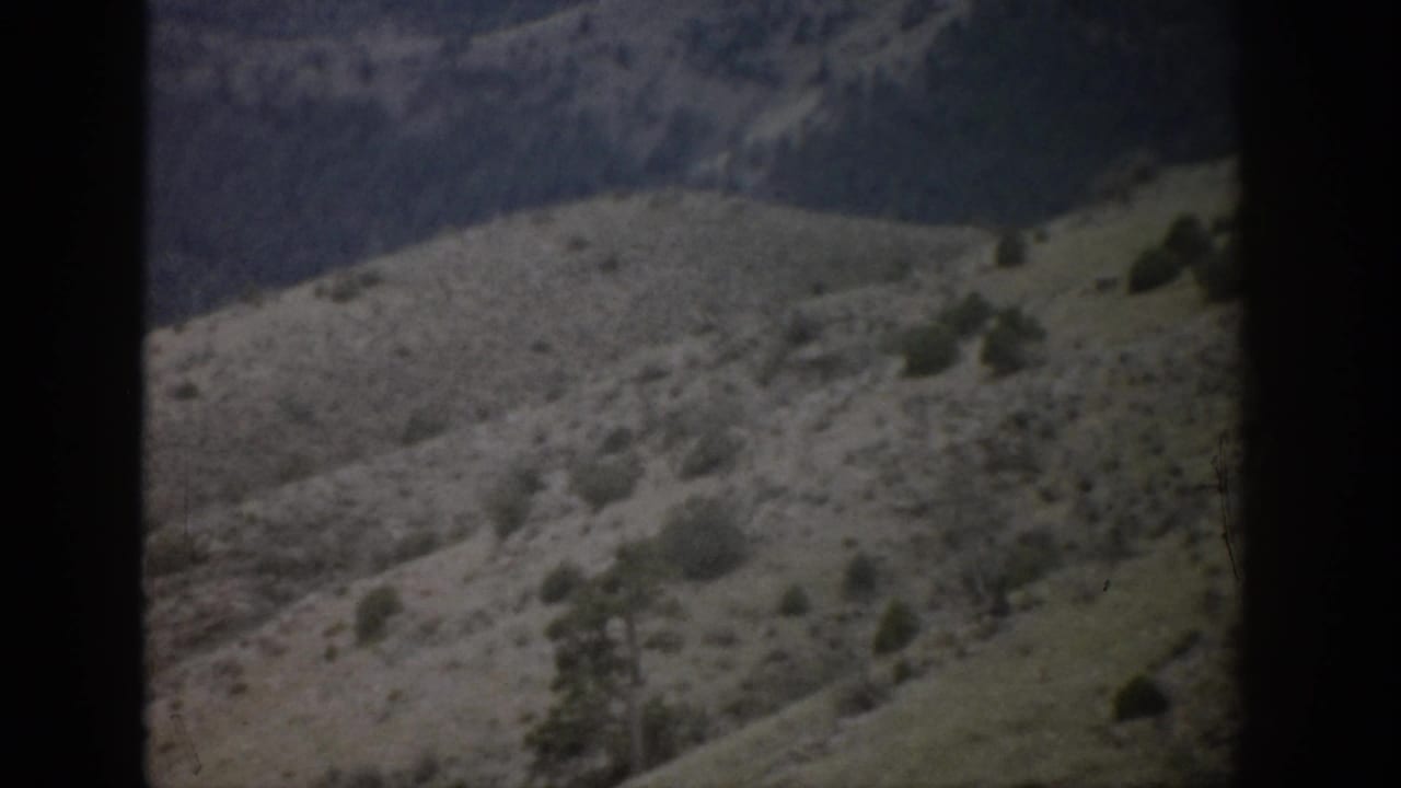 Sparse hillside and distant mountain ridge with small trees along the slope.