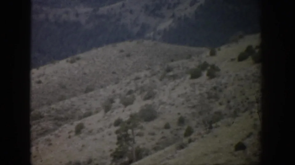 1959 Colorado landscape frame with pale dry hills, scattered evergreens, and a darker ridge beyond the slope.