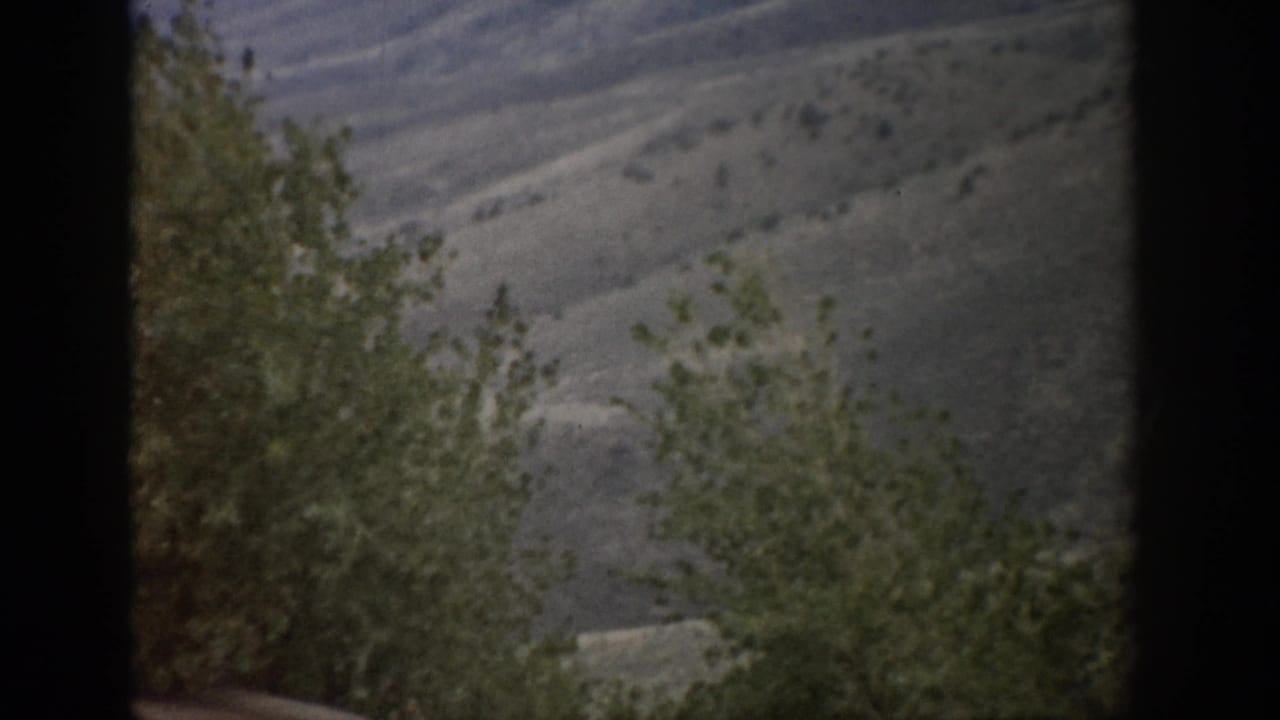 Leafy tree in front of rolling hills, partly divided by a dark vertical frame.