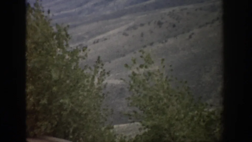 Colorado hillside view with a leafy tree in the foreground and dark vertical framing from the 8mm home movie scan.