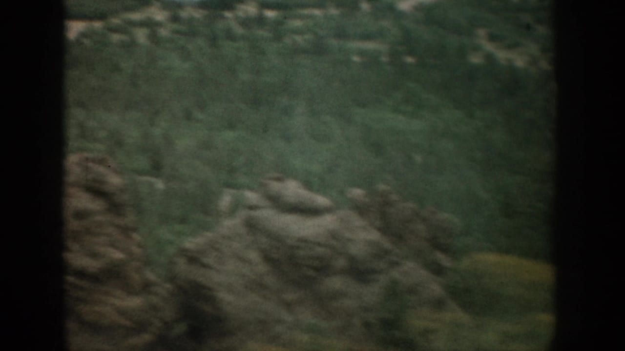 Rocky green hillside and brush passing by with visible motion softness.