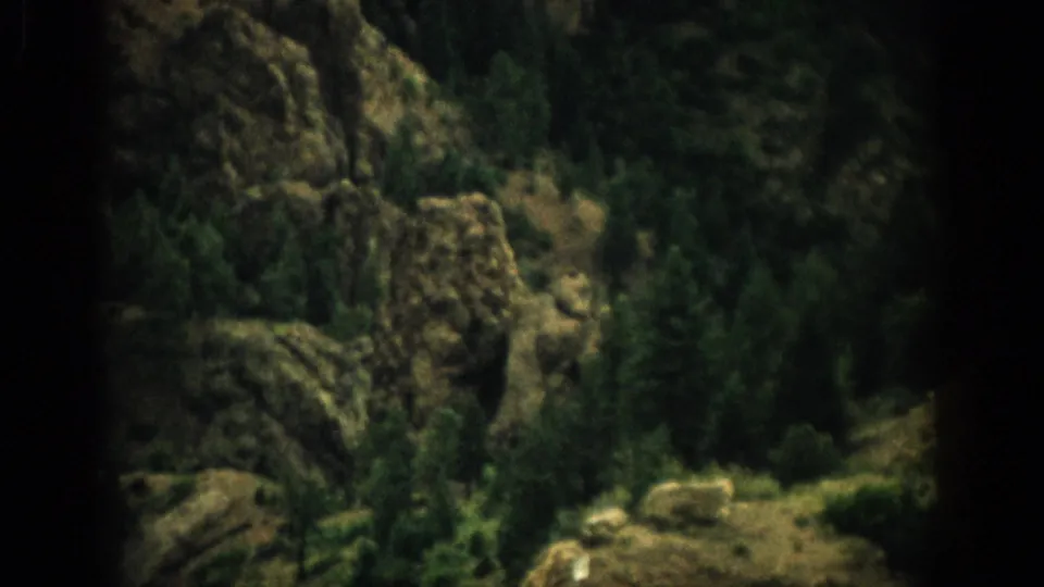 1959 Colorado 8mm frame showing a rocky mountainside with dense evergreen trees and sunlit scrub vegetation.
