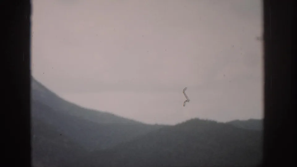 1959 Colorado 8mm frame showing low, hazy mountain ridges through a dark window edge, with pale sky and visible scratches on the film.