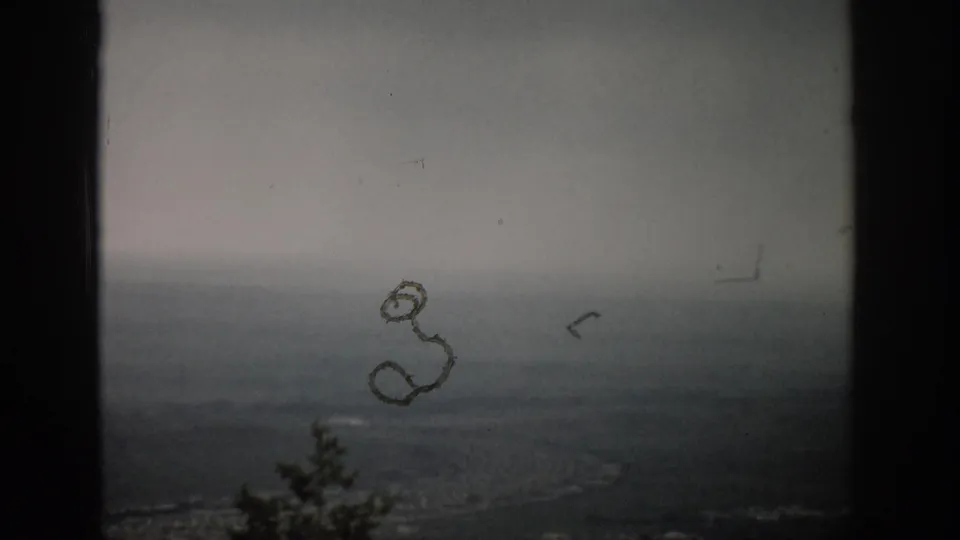1959 Colorado 8mm frame of a fog-softened valley view with tree tops in the foreground and visible dust or processing marks on the film.