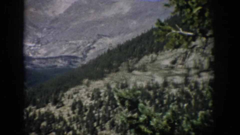 1959 Colorado 8mm frame showing a forested mountain slope, rocky valley wall, evergreen branches, and distant ridges.