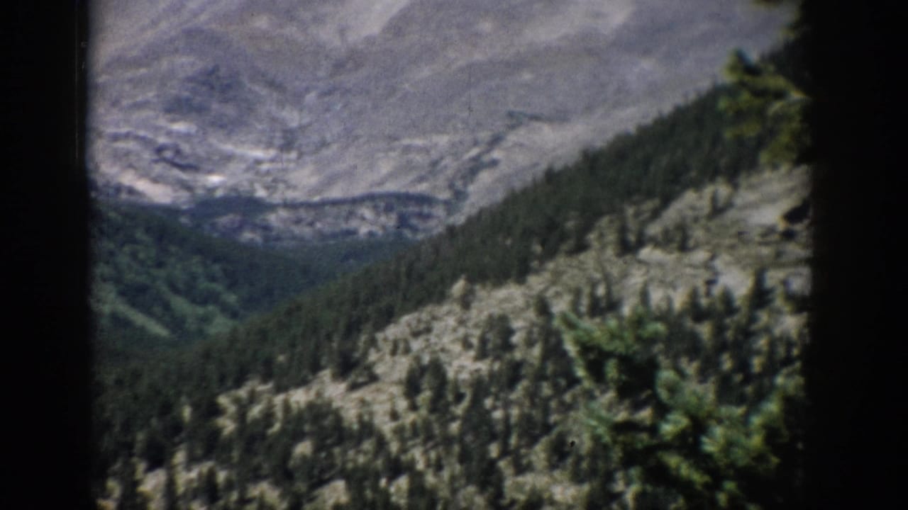Forested mountain valley below gray alpine ridges with dark 8mm frame edges.