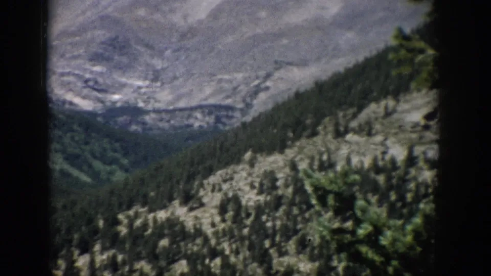 1959 Colorado home-movie view of a conifer valley and rocky mountain slopes seen through soft 8mm framing.