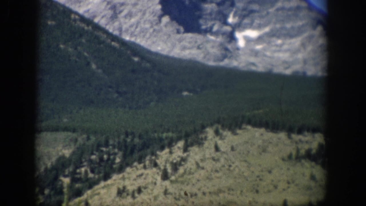 Forest-covered mountain slope below rocky peaks with a small snow patch.