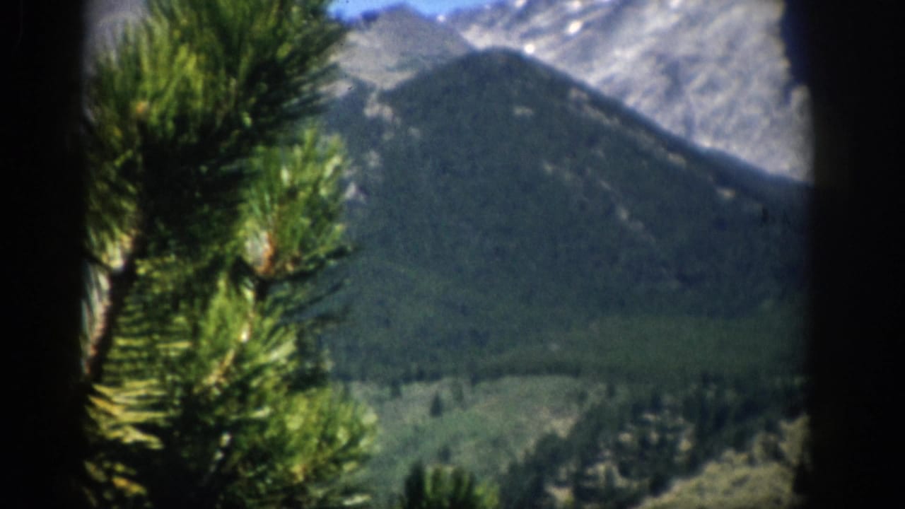 1959 Colorado 8mm frame showing evergreen needles in the foreground and distant snow-marked mountain slopes under clear sky.