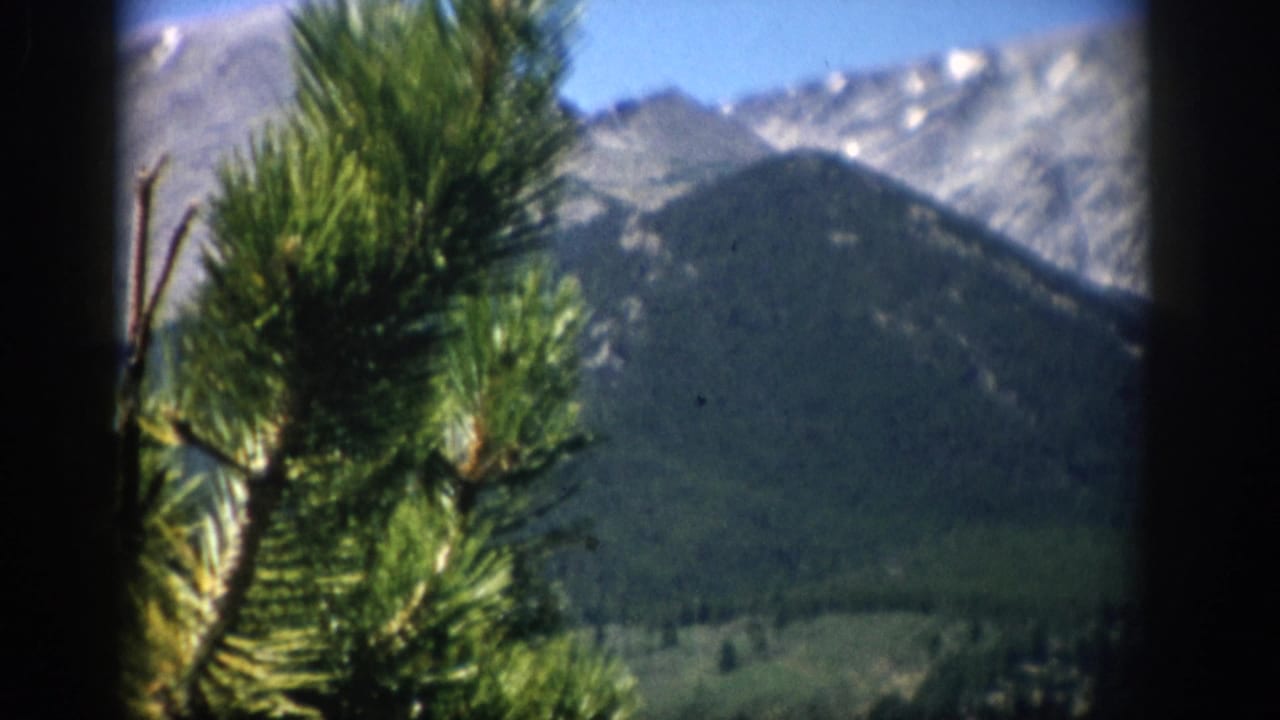 1959 Colorado home-movie frame with foreground evergreen branches against forested slopes and pale rocky peaks in the distance.