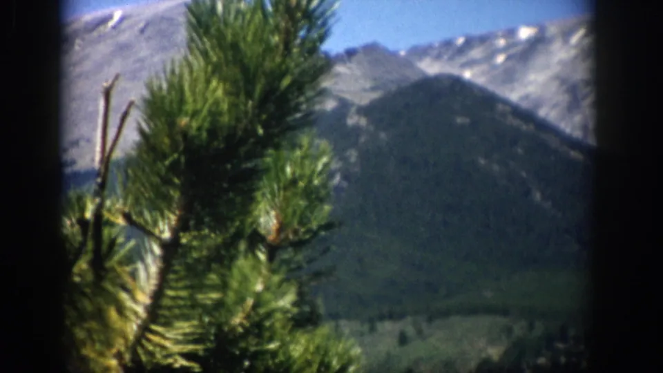 1959 Colorado 8mm still with close evergreen branches partly obscuring a soft mountain view and high rocky slopes.