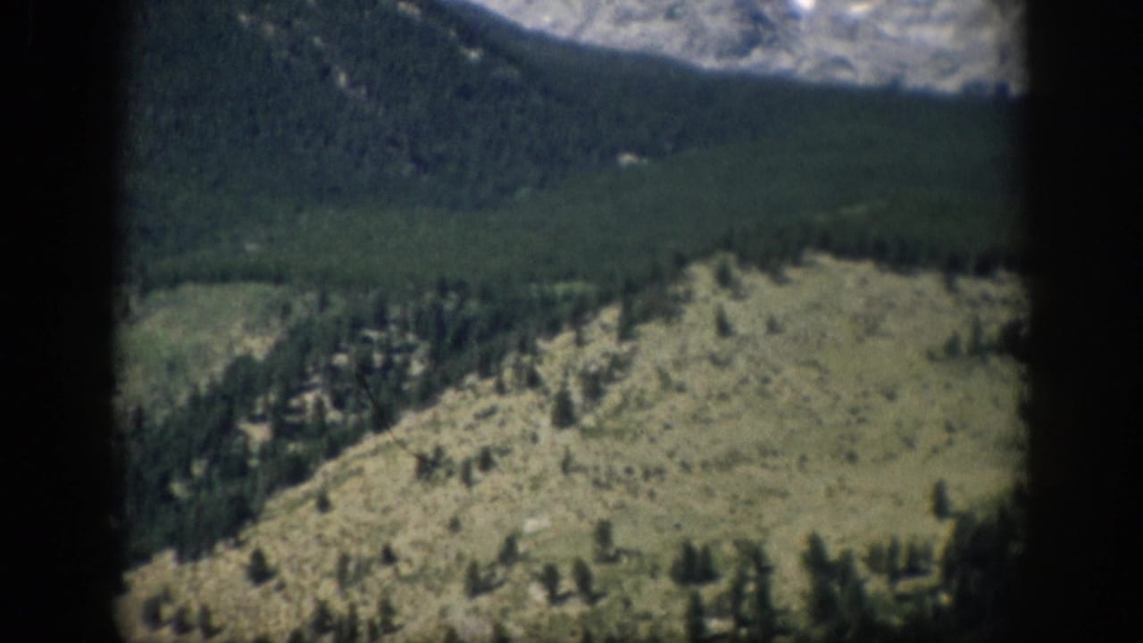 Colorado mountain landscape frame with dense evergreen forest, open hillside, and a pale rocky ridge near the top of the shot.