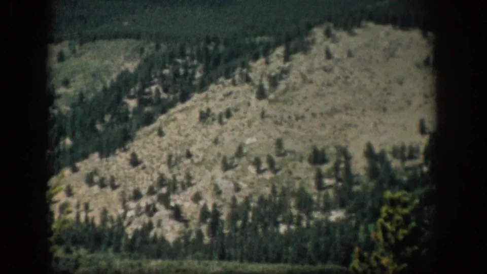 Vintage 8mm view of a Colorado hillside with scattered evergreens, pale rock, and dark projector borders crossing the frame.