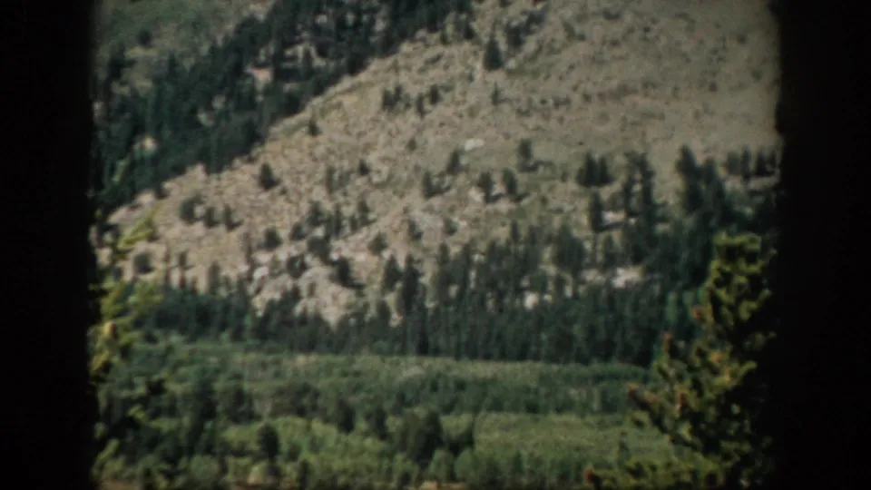 1959 Colorado scenic frame showing an open rocky slope, scattered evergreen trees, and darker forest along the valley floor.