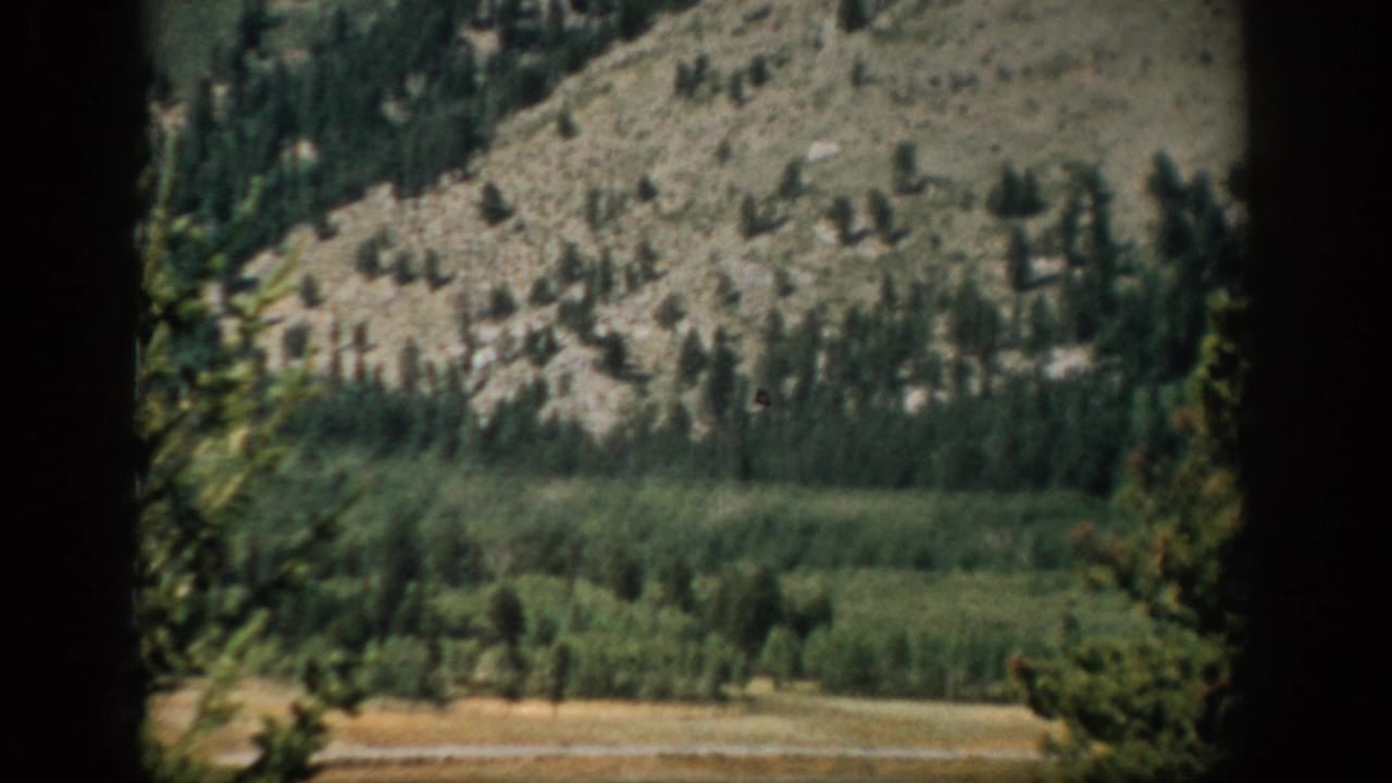 Mountain slope and forested valley seen through dark foreground trees.
