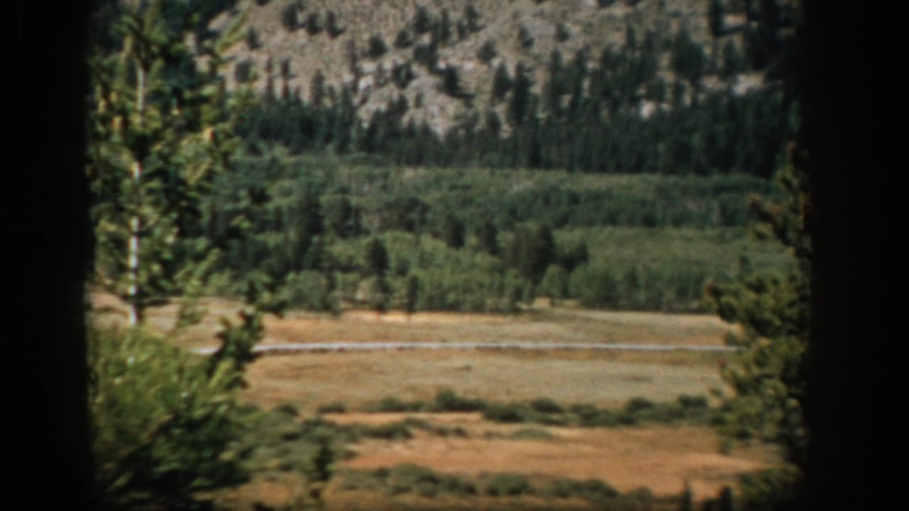 1959 Colorado landscape frame showing evergreen woodland, dry open meadow, and a rocky mountain slope in the distance.