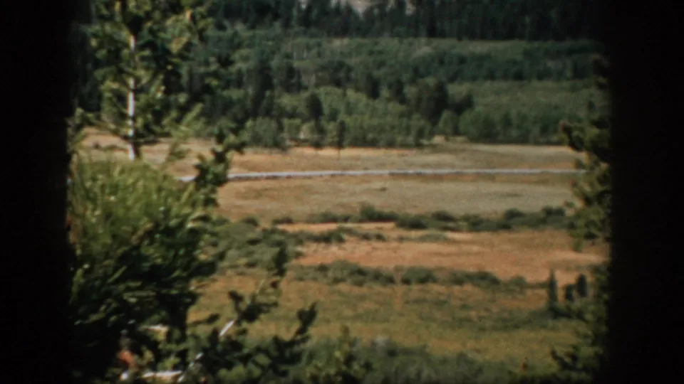 Colorado 8mm home-movie frame of a valley meadow, scattered evergreens, and distant forest seen through foreground trees.