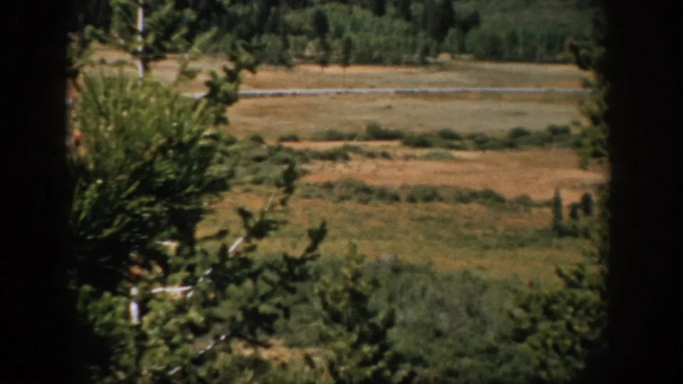 1959 Colorado valley landscape with dry grassland, dense trees, a pale line across the meadow, and dark foreground framing.
