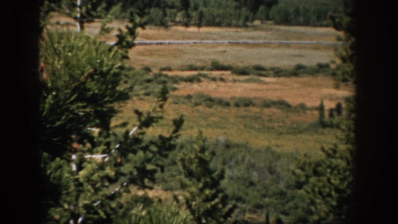 1959 Colorado 8mm frame showing a rural road across a dry valley, partly framed by dark pine trees and distant brush.