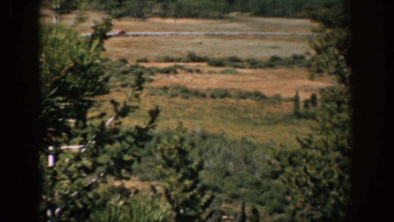 Colorado home-movie view of a small red car on a country road beyond pine branches and dry open fields.