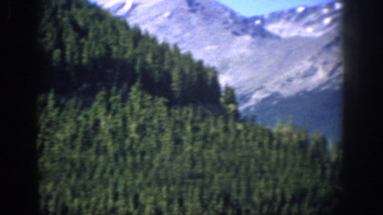 Pine-covered hillside with gray mountain peaks behind it and dark film-edge shadowing.