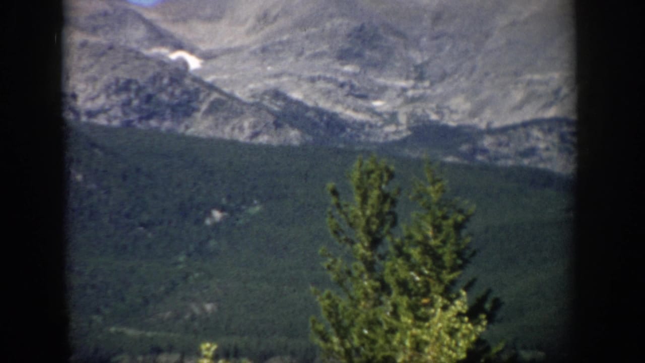 1959 Colorado 8mm frame showing mountains beyond dense forest and a foreground tree, bordered by dark film edges.