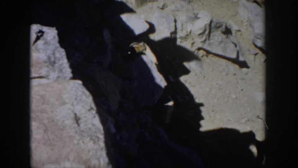 The chipmunk appears near a pale rock face and dusty ground, filmed in handheld 8mm color in Colorado.