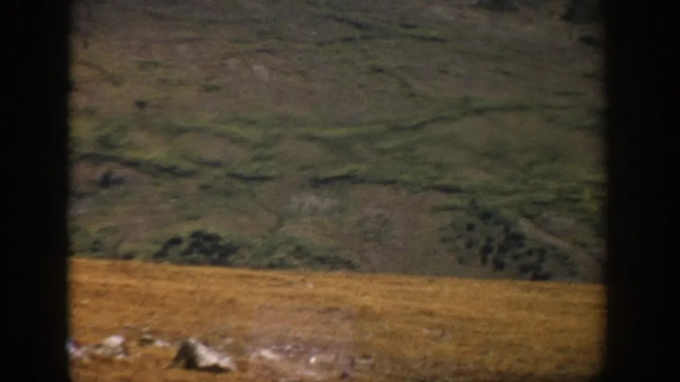 1959 Colorado 8mm frame showing grassy foreground, scattered rocks, and a distant green mountainside in soft focus.