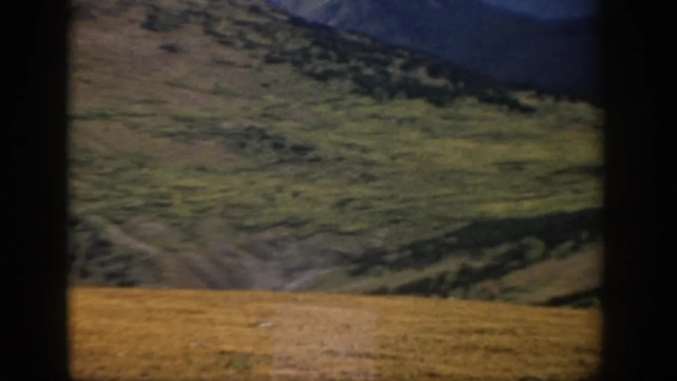 1959 Colorado 8mm view across a grassy slope toward darker vegetation and a distant mountain ridge.