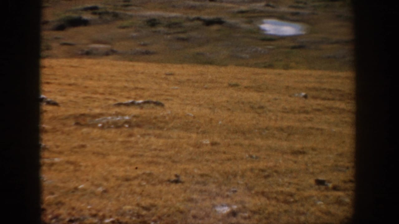 1959 Colorado 8mm frame showing dry open grassland, scattered rocks, and distant low terrain through dark window bars.