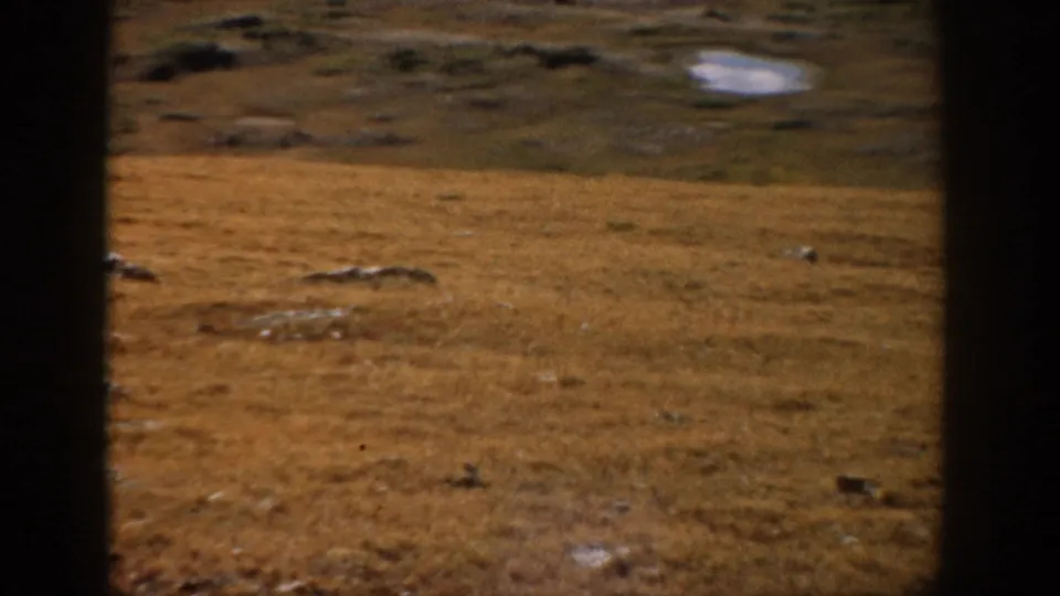 1959 Colorado 8mm frame showing dry open grassland, scattered rocks, and distant low terrain through dark window bars.