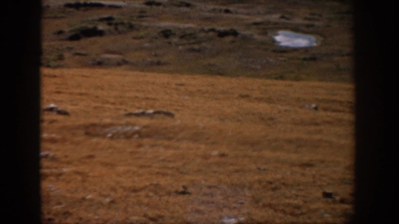 Rocky golden field and low hillside divided by dark window bars.