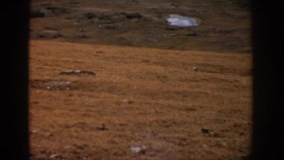 1959 Colorado 8mm view of dry grassland, scattered rocks, and a distant slope seen through a dark interior or window frame.