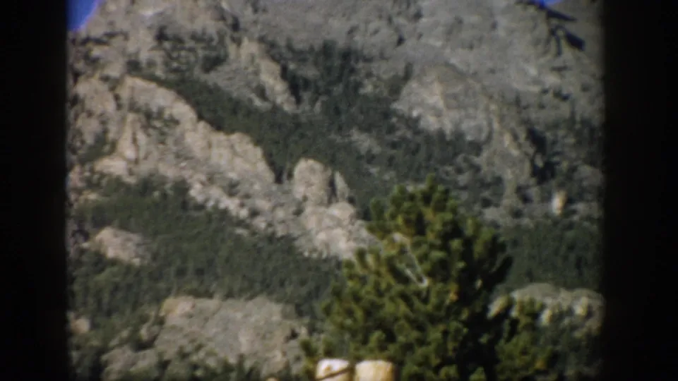 1959 Colorado home-movie view of rocky mountain terrain, evergreen forest, and foreground pine branches.